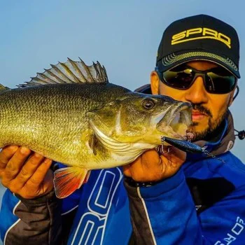 Воблер SPRO Ikiru Naturals Silent Jerk SLS 65 6.8g