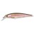 Rainbow Trout -  - КОД : 4380-108 