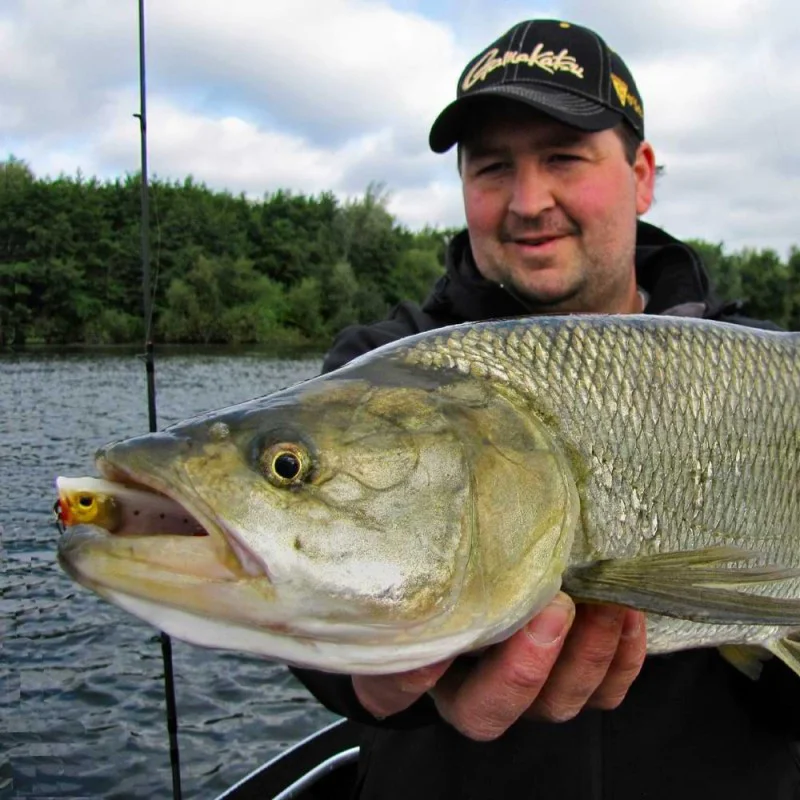 Попер SPRO Ikiru Pop 65 FL 6g