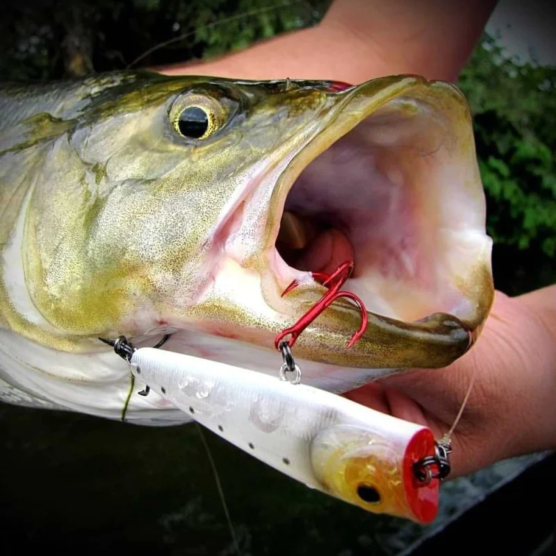 Попер SPRO Ikiru Pop 65 FL 6g