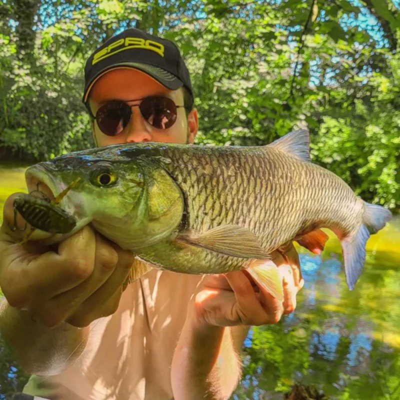 Воблер SPRO Zuk 35mm 4.0g