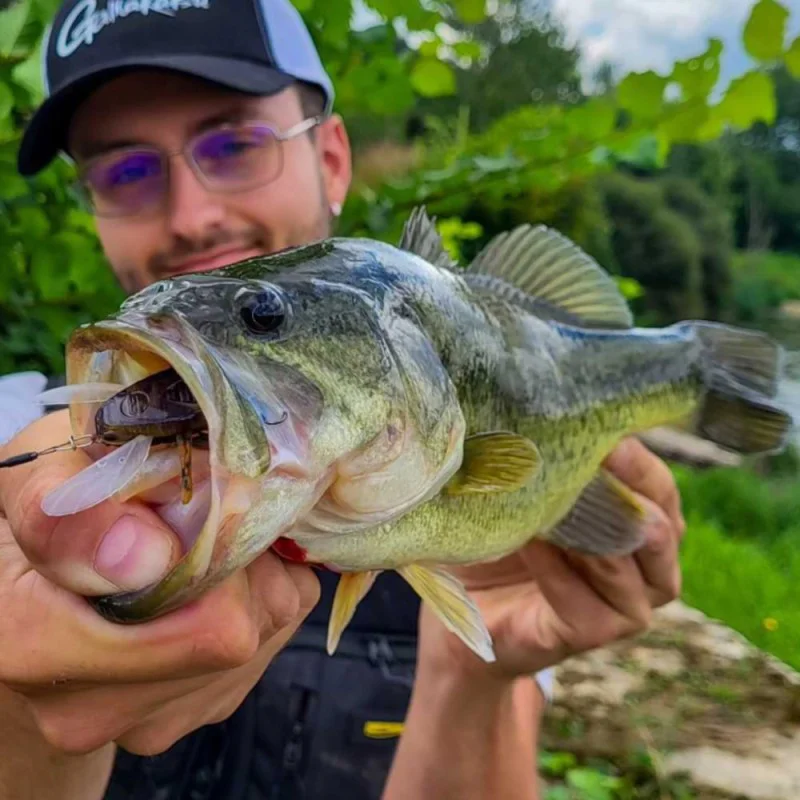 Воблер SPRO Zuk 35mm 4.0g