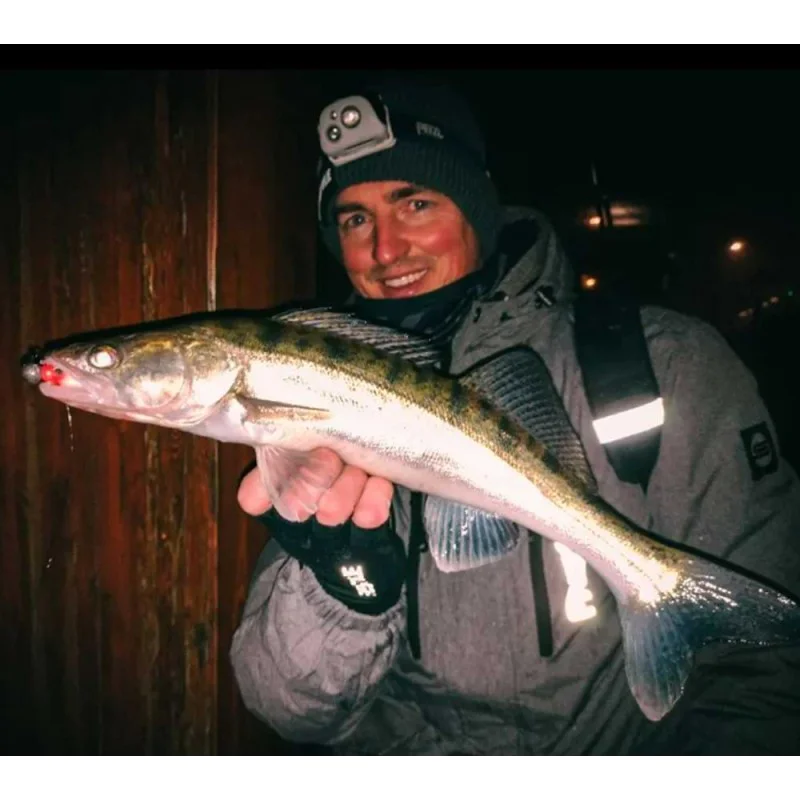 Силиконова примамка SPRO Iris The Shad 8cm 4g