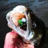 Силиконова примамка SPRO Iris The Shad 10cm 8g