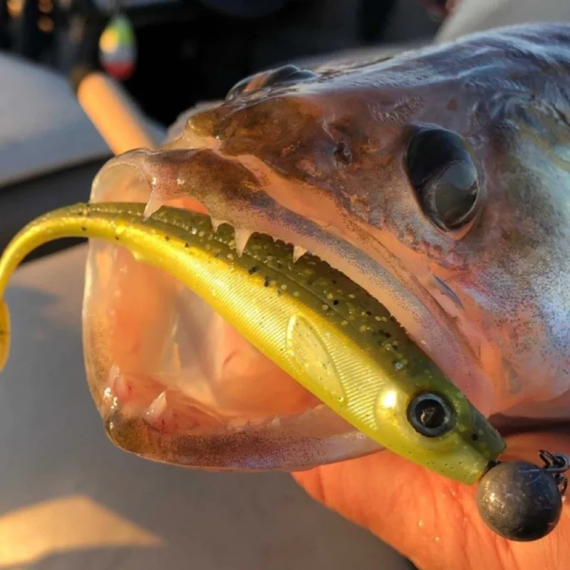 Силиконова примамка SPRO Iris Popeye 14cm 15g