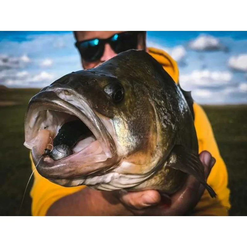 Силиконова примамка SPRO Scent Insta Shad 2.8g 6.5cm