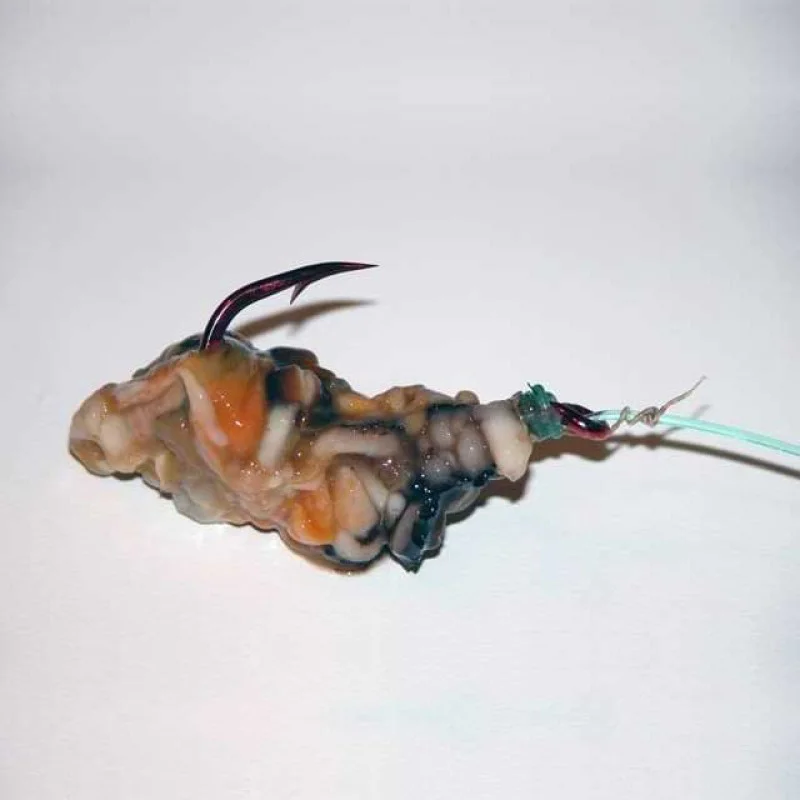 Ластик за стръв SPRO Bait Elastic