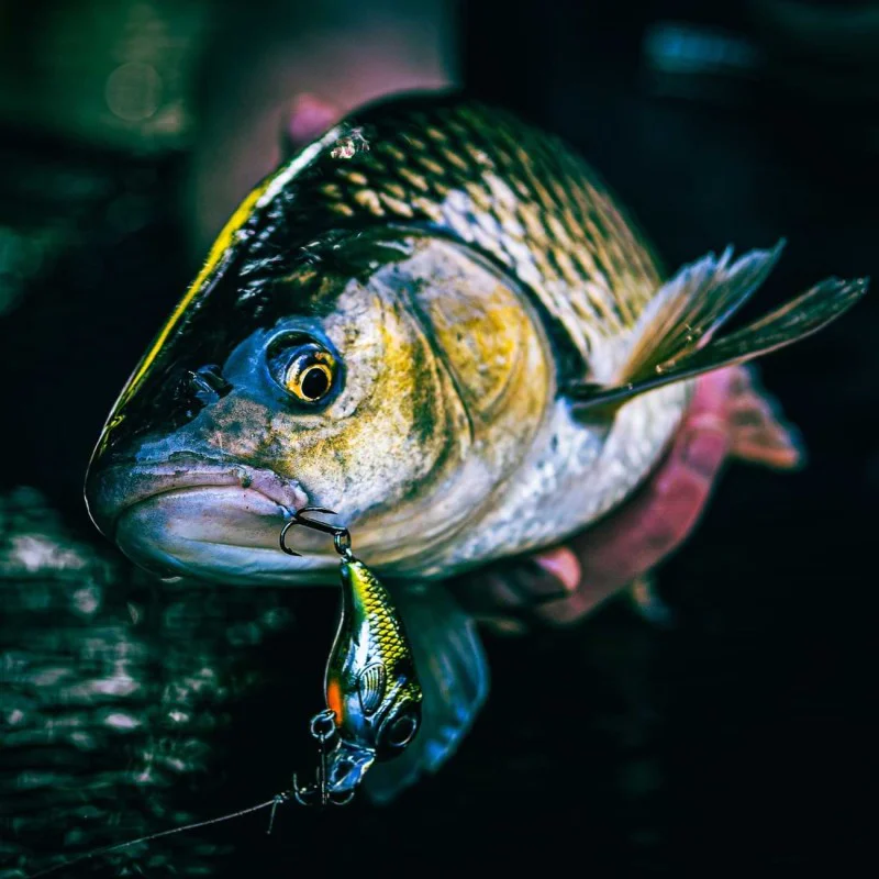 Воблер SPRO Fat IRIS 40 5.4g