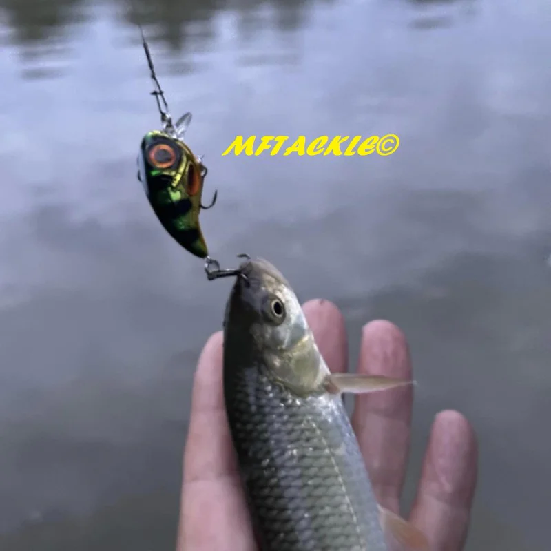 Воблер SPRO Fat IRIS 40 5.4g