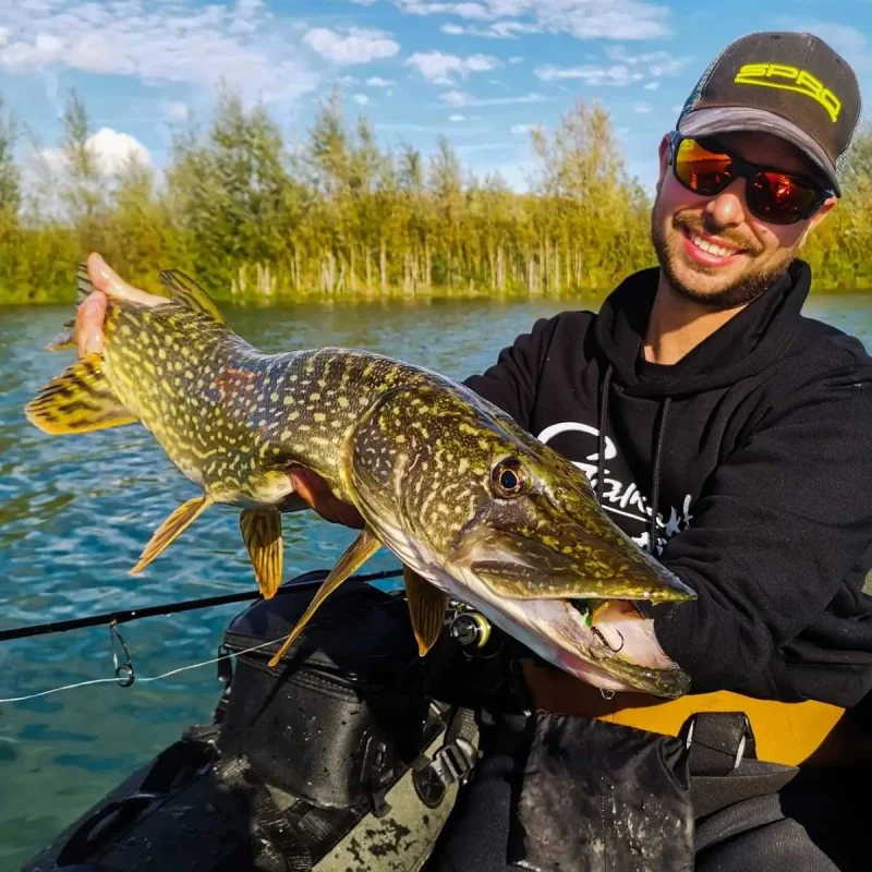 Воблер SPRO Fat IRIS 50 CR 10g