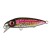 Rainbow Trout - - КОД : 4867-3111 