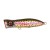 Rainbow Trout - - КОД:
4867-3611 