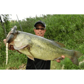 Изкуствена примамка SPRO BBZ-1 Baby Rat 8cm 16g Floating