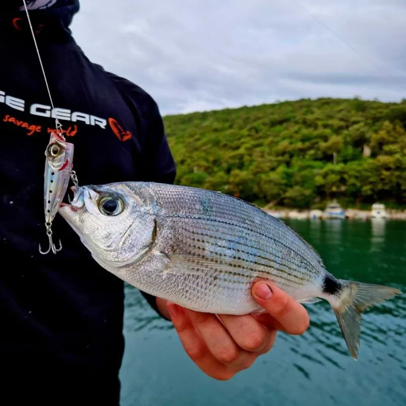 Воблер SAVAGE GEAR Micro Popper 4.3cm 3g Floating