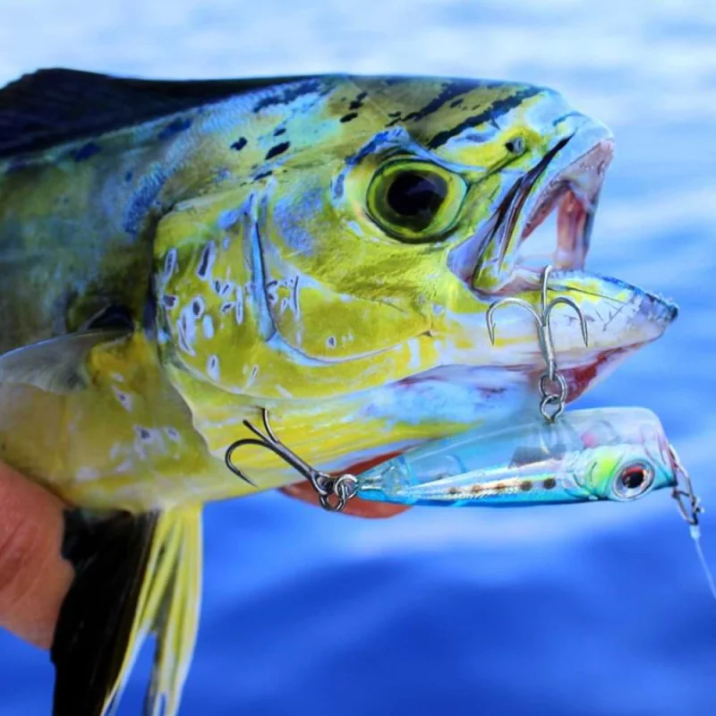 Воблер SAVAGE GEAR Micro Popper 4.3cm 3g Floating