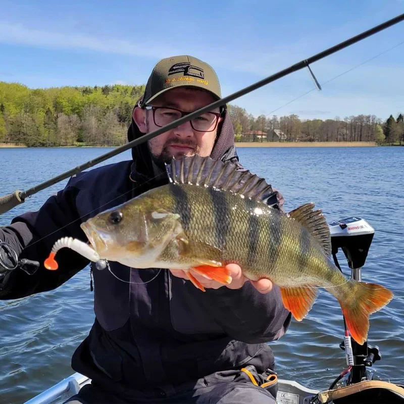 Силиконова примамка SAVAGE GEAR Gobster Shad 7.5cm 5g Chartreuse Pumpkin 5pcs