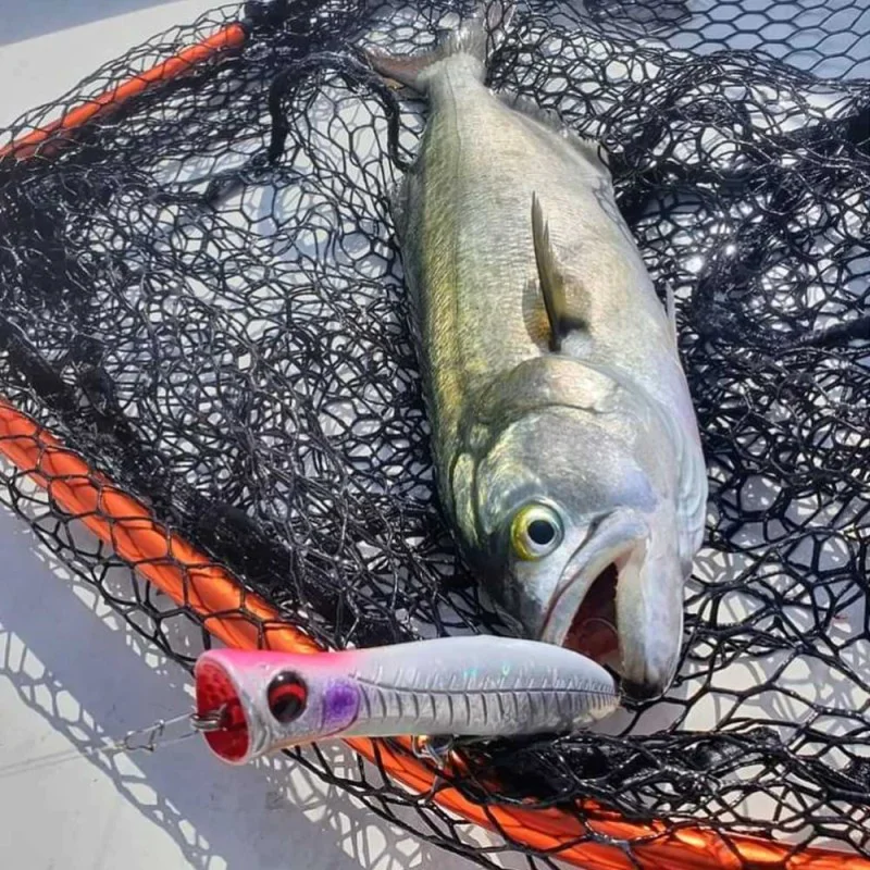 Попер SAVAGE GEAR Gravity Popper 9cm 13.5g Floating