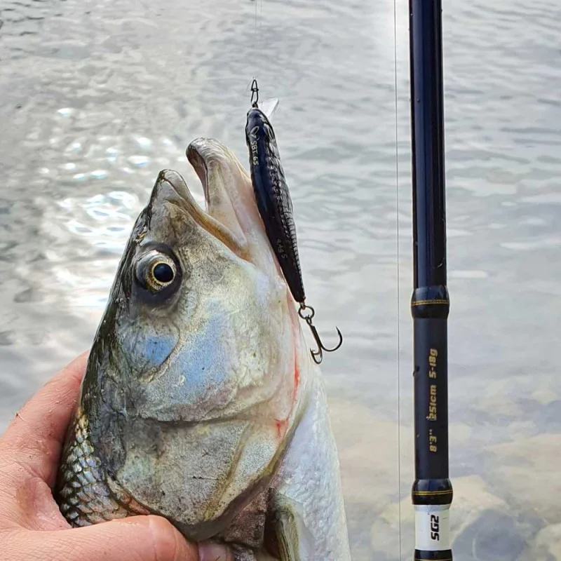 Спининг въдица SAVAGE GEAR SG2 Light Game 7ft3inch 221cm 5-18g