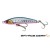 Pink Belly Sardine PHP - - КОД : SVS71396 