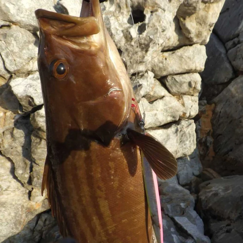 Асист куки SAVAGE GEAR Bloody Assist Hook Sj Double