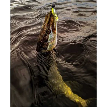 Силиконова примамка SAVAGE GEAR Cannibal Shad 10cm 9g