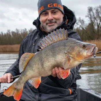 Силиконова примамка SAVAGE GEAR Cannibal Shad 8cm 5g+7.5g #2/0 Clearwater Mix 4+4pcs