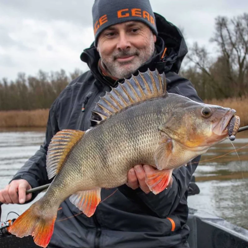 Силиконова примамка SAVAGE GEAR Cannibal Shad 10cm 9g+10g #3/0 Clearwater Mix 4+4pcs