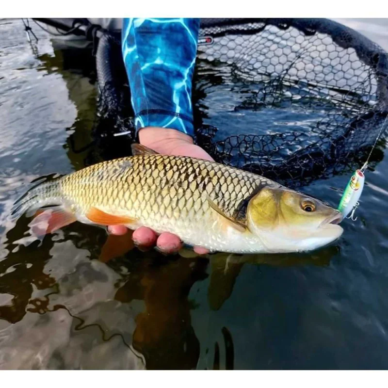 Воблер SAVAGE GEAR Pop Walker 2.0 9cm 11g Floating