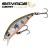 Olive Smolt - - КОД : 
SVS72321 