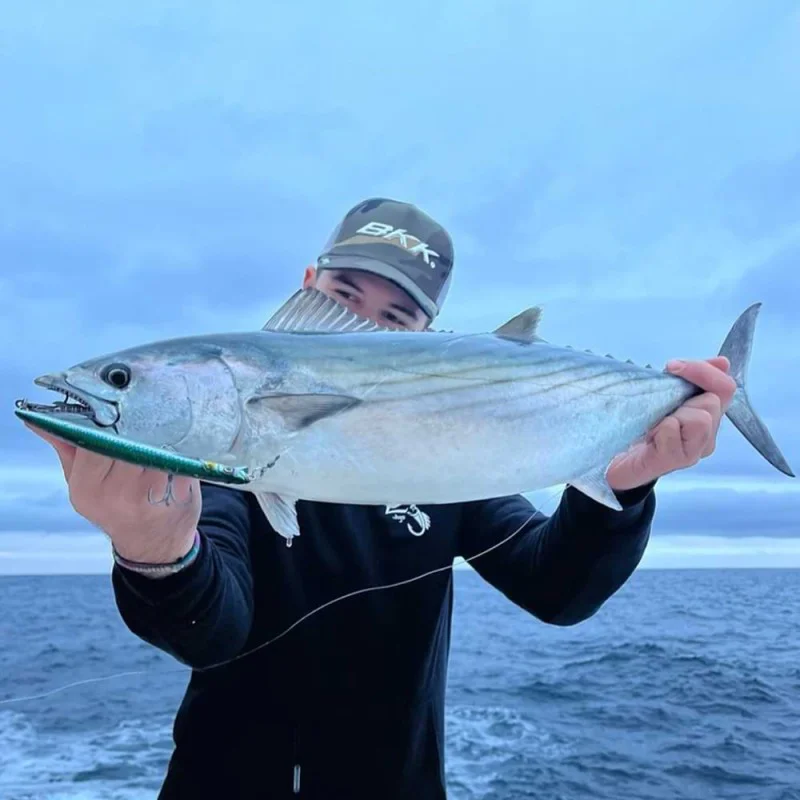 Воблер SAVAGE GEAR Deep Walker 2.0 17.5cm 39g Sinking