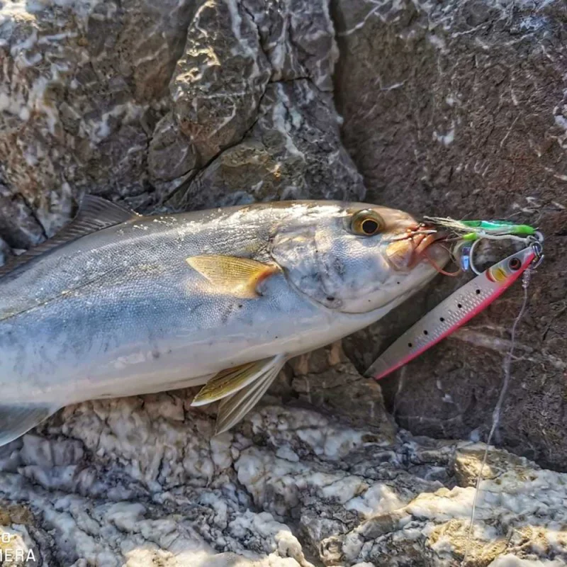 Джиг SAVAGE GEAR Sardine Slider 14.5cm 80g Fast Sinking