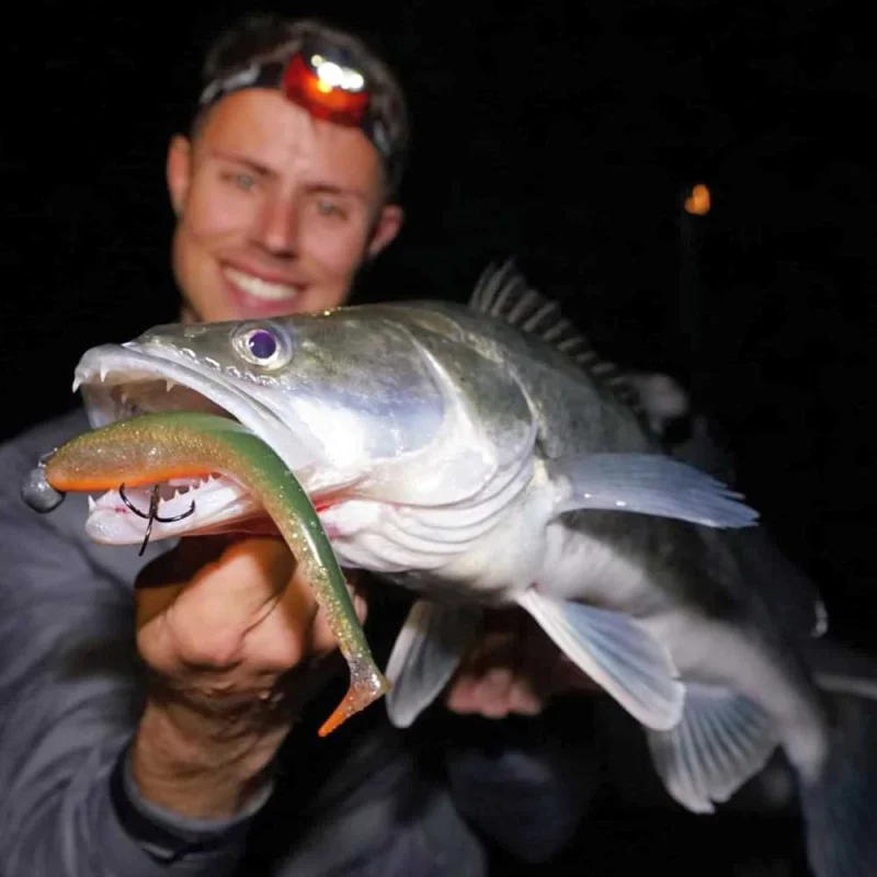 Силиконова примамка SAVAGE GEAR Monster Shad 18cm 33g 2pcs