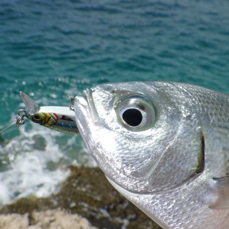 Воблер SAVAGE GEAR Gravity Minnow 5cm 3.1g Floating