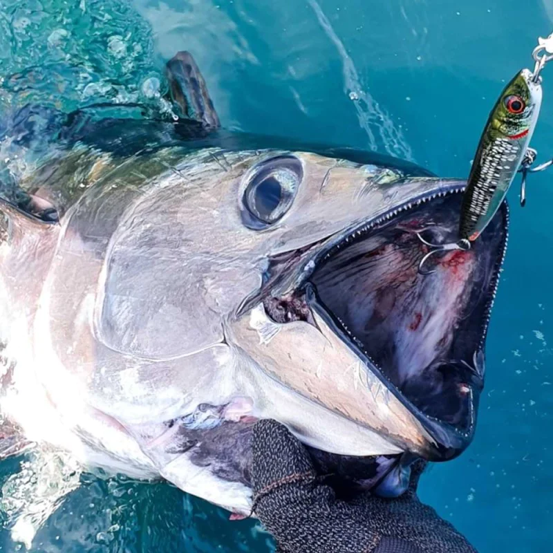 Воблер SAVAGE GEAR Cast Hacker 9.5cm 32g Extra Sinking