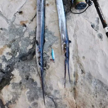 Волфрамов джиг SAVAGE GEAR Flatline TG 4cm 12g