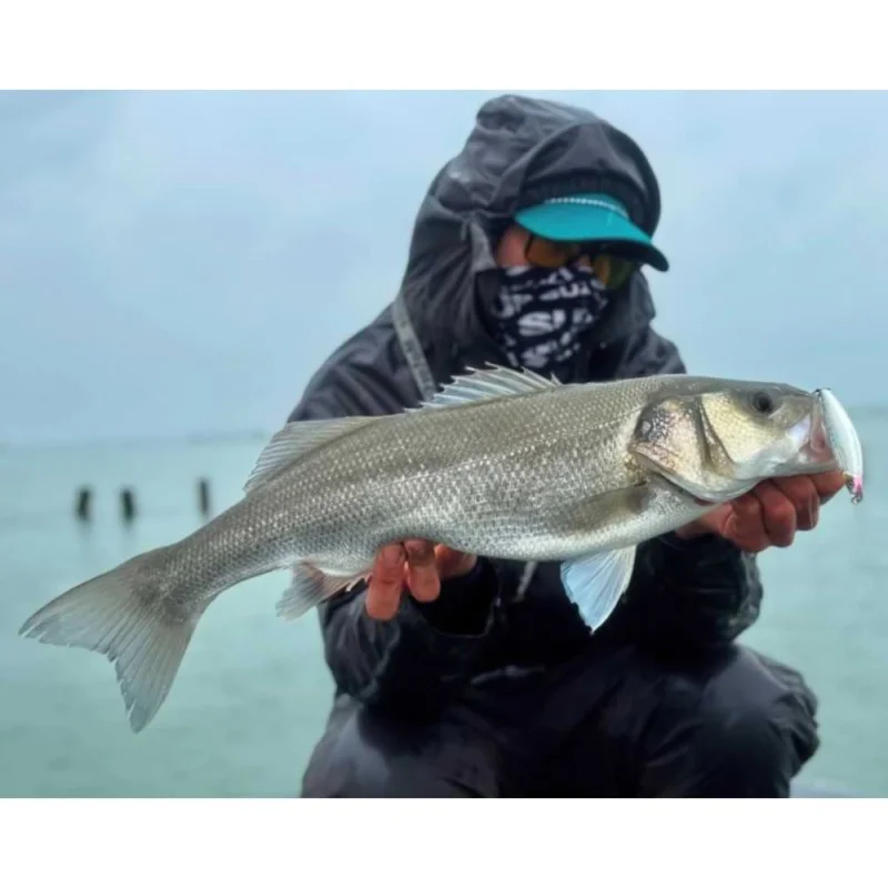 Воблер SAVAGE GEAR Gravity Shallow 10cm 14g Floating