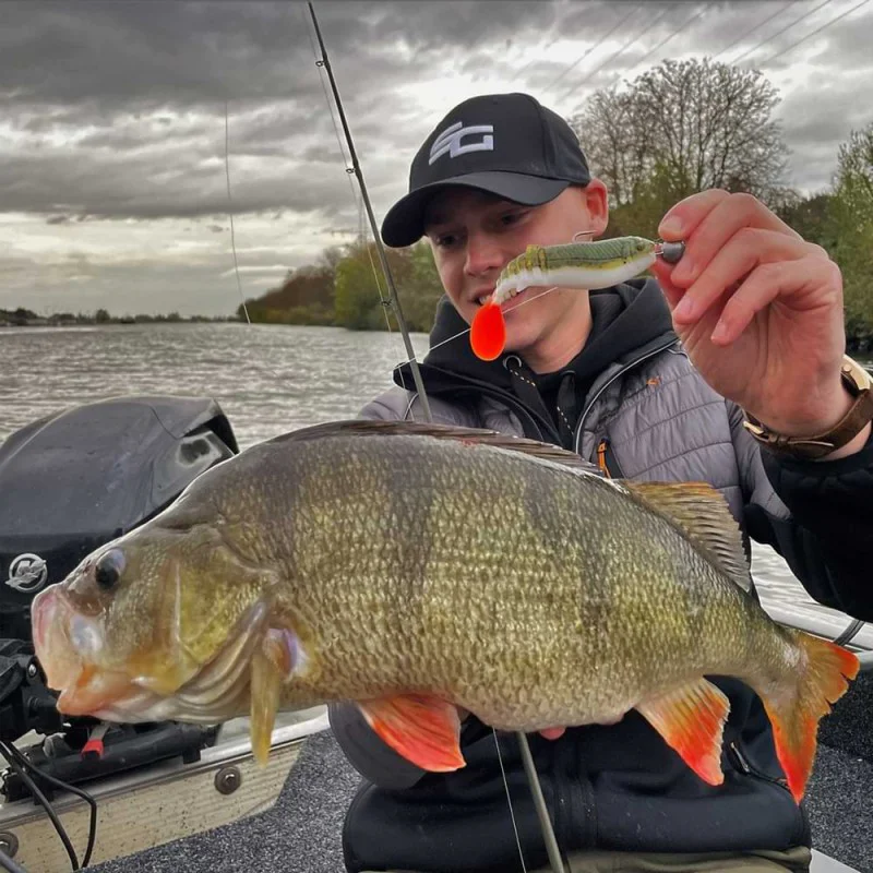 Силиконова примамка SAVAGE GEAR Cannibal Shad 12.5cm 20g Olive Hot Orange 4pcs