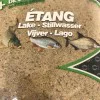 Захранка SENSAS 3000 Attractive Etang 1kg