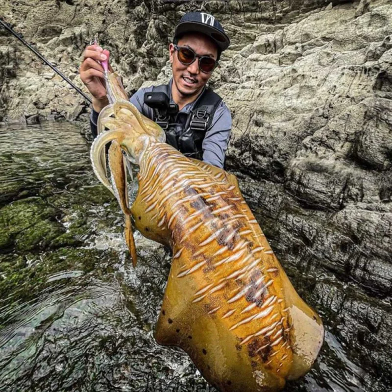 Калмариера SHIMANO Sephia Clinch Flash Boost #3.5 Gou 11cm 19g