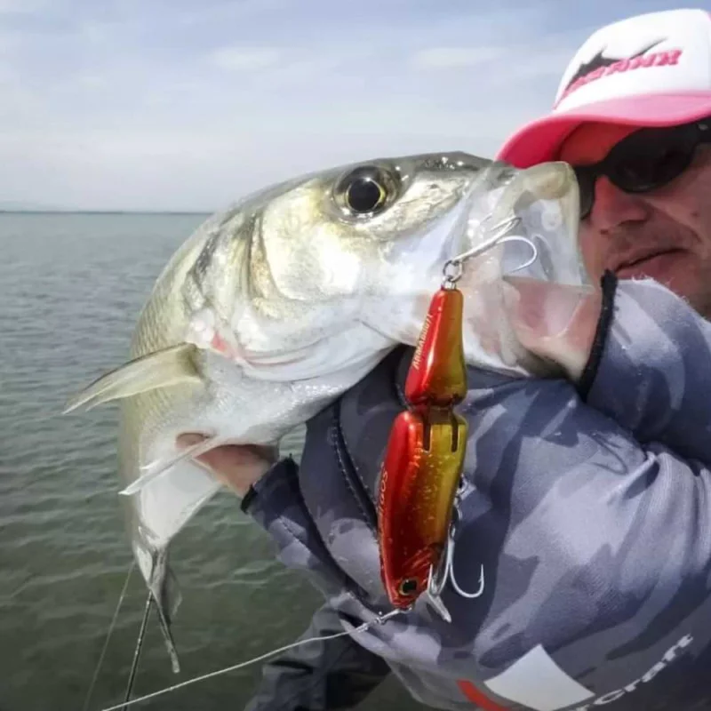 Воблер SHIMANO Cardiff Armajoint 60SS 60mm 5.5g Slow Sinking