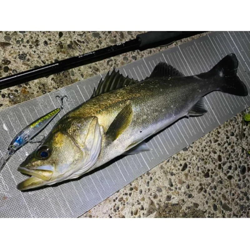 Воблер SHIMANO Naluca Exsence Dive Assassin 125S FB 125mm 28g Sinking