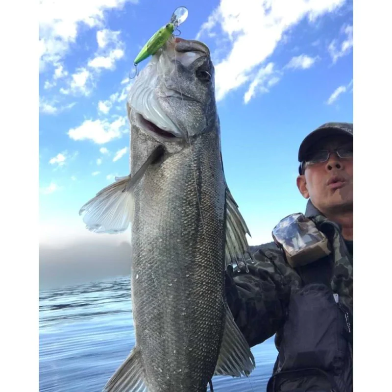 Воблер SHIMANO Naluca Exsence Dive Assassin 125S FB 125mm 28g Sinking