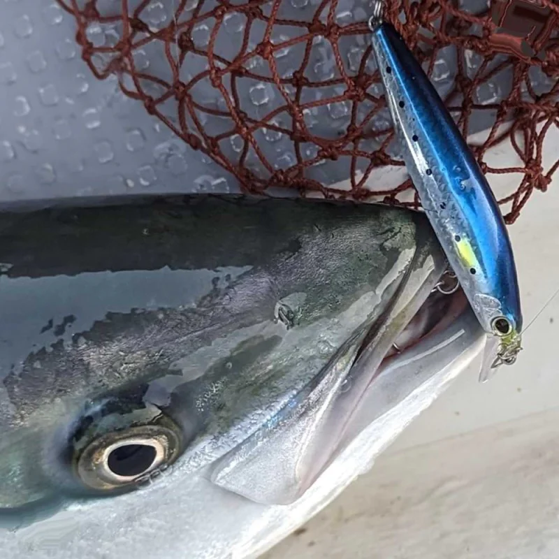 Воблер SHIMANO Exsence Silent Assassin Flash Boost 80S 80mm 12g Sinking