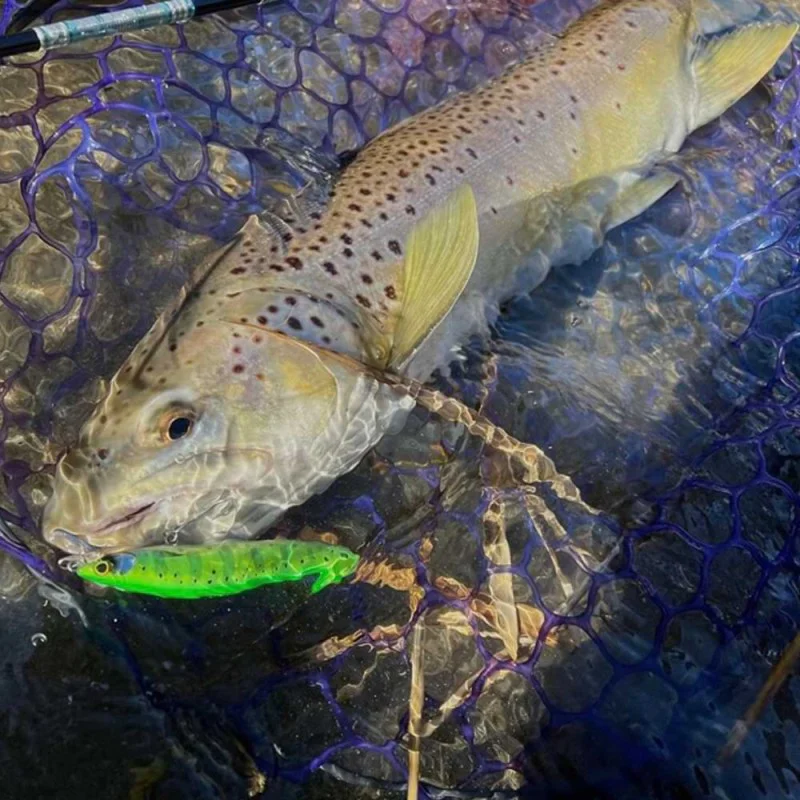 Воблер SHIMANO Cardiff ML Bullet 93F AR-C 93mm 10g Floating