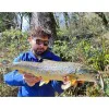 Воблер SHIMANO Cardiff ML Bullet 93F AR-C 93mm 10g Floating