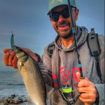 Воблер SHIMANO Bantam Zumverno 95SP FB 95mm 10g Suspending