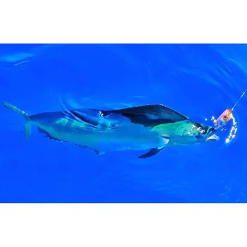 Попер SHIMANO BT World Pop Flash Boost 69mm 12g Floating