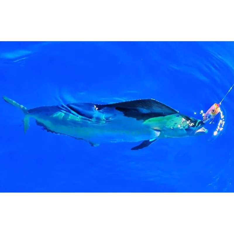 Попер SHIMANO BT World Pop Flash Boost 69mm 12g Floating