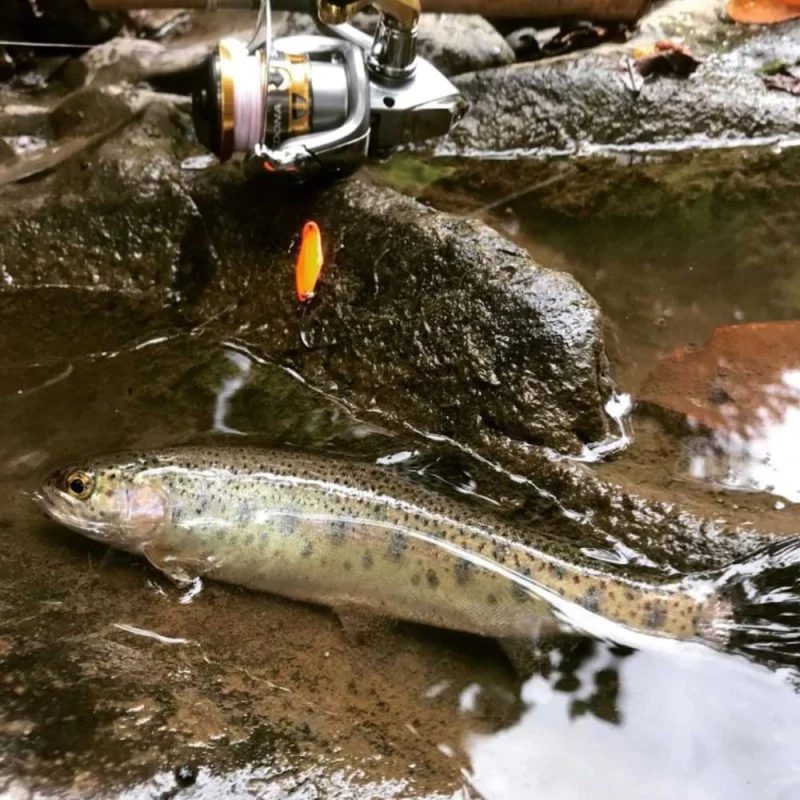 Клатушка SHIMANO Cardiff Wobble Swimmer 2.5g