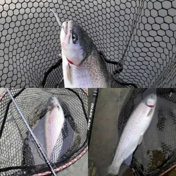 Клатушка SHIMANO Cardiff Slim Swimmer 2.0g